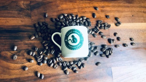 Filoza Origin Türkischer Mokka Kaffee 500gr – Bild 7